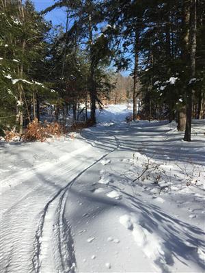 Lowell Preserve - Groomed Cross Country Ski Trails