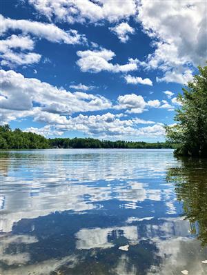 2nd Place Nature Category: Susan Gross