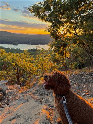 1st Place Animal Category: Abby Wilson