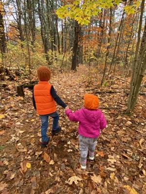 Fall Trails