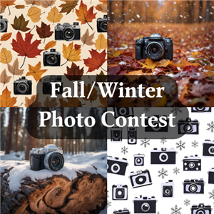 Fall/Winter Photo Contest