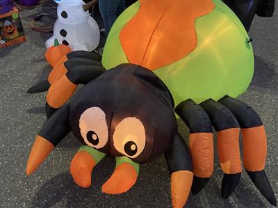 Spider Spider